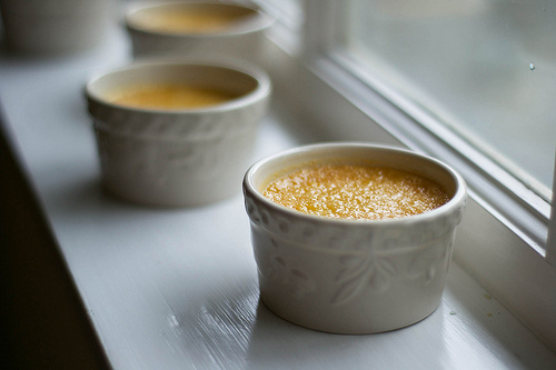 Maple Pots de Creme