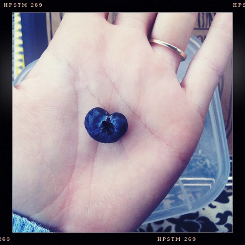 Blueberry <3